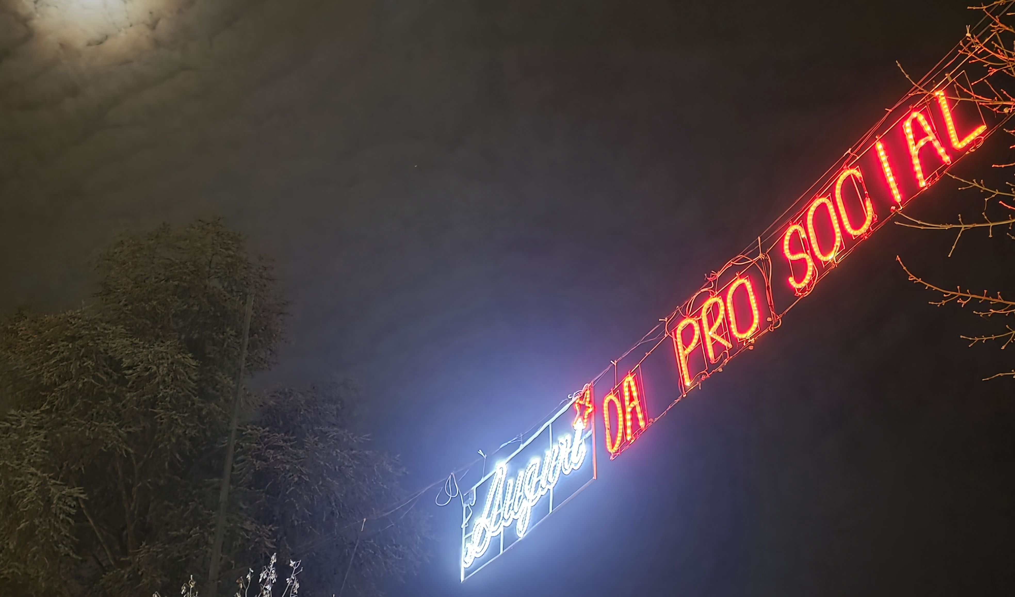 immagine di galleria