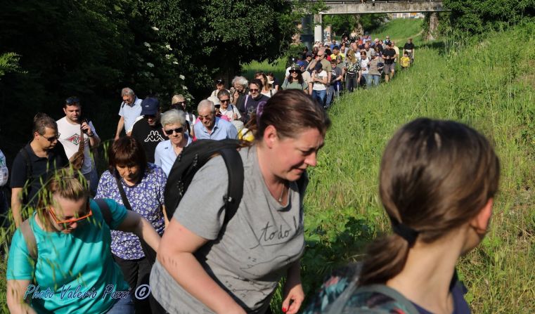 Un'immagine generica segnaposto con angoli arrotondati in una figura.